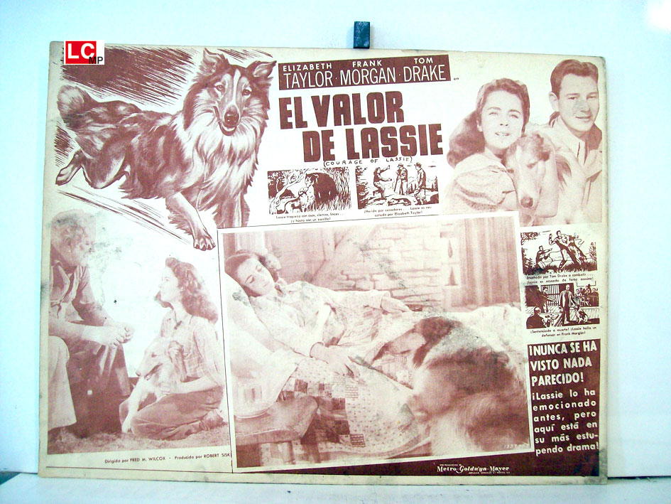 Courage of Lassie Original 1946 Argentine Movie Poster