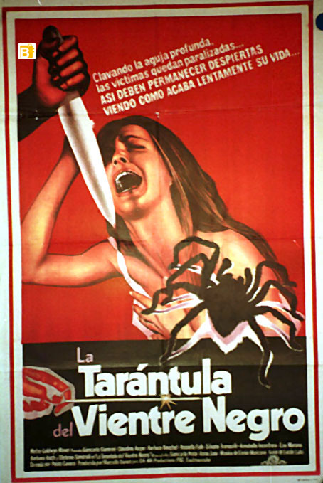 TARANTULA DEL VIENTRE NEGRO, LA