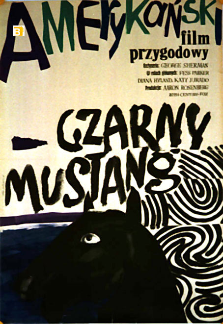 CZARNY MUSTANG