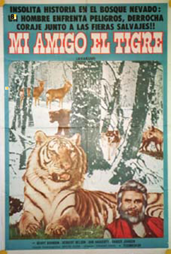 MI AMIGO EL TIGRE