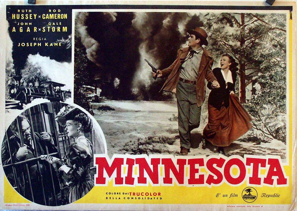 "MINNESOTA" MOVIE POSTER "WOMAN OF THE NORTH COUNTRY" MOVIE POSTER