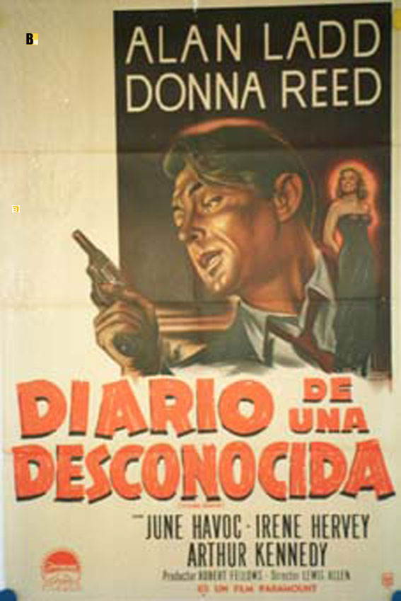 DIARIO DE UNA DESCONOCIDA