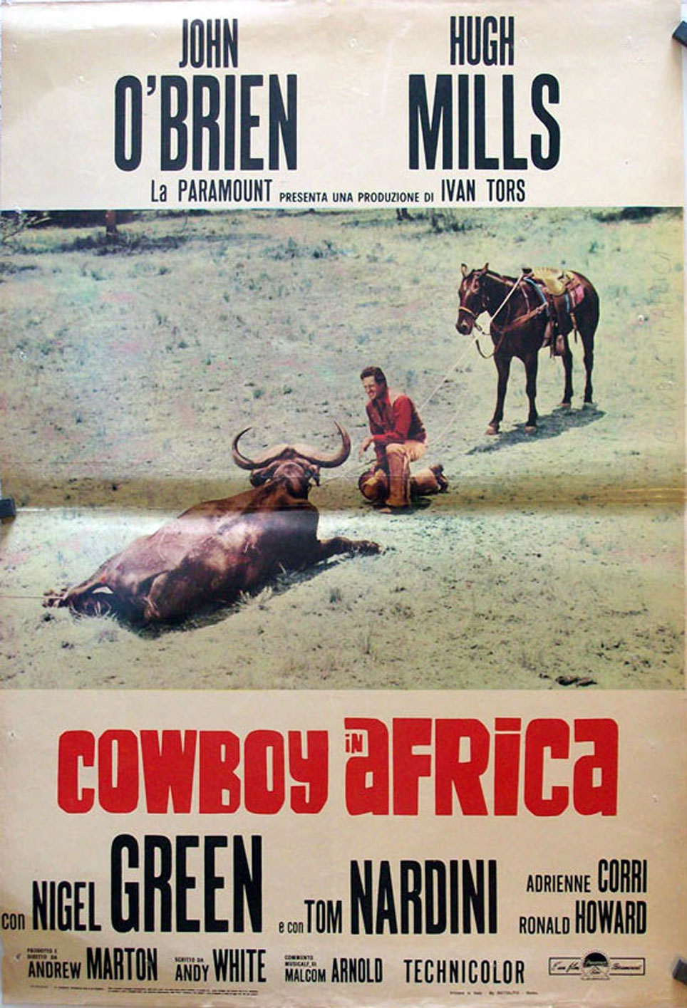 COWBOY IN AFRICA
