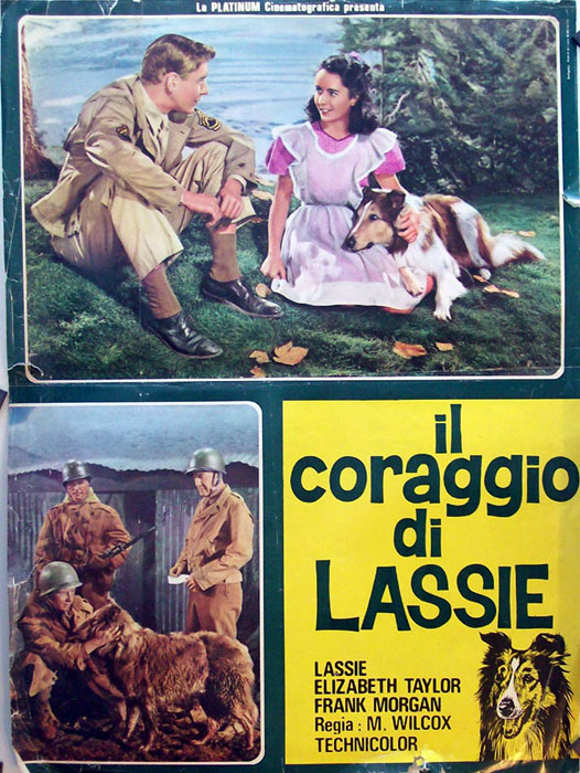 IL CORAGGIO DI LASSIE