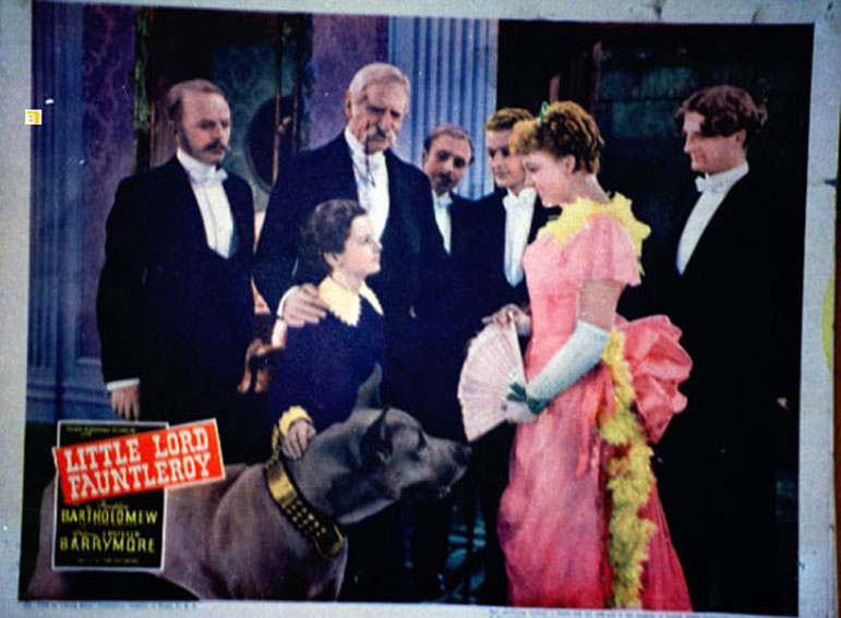 LITTLE LORD FAUNTLEROY