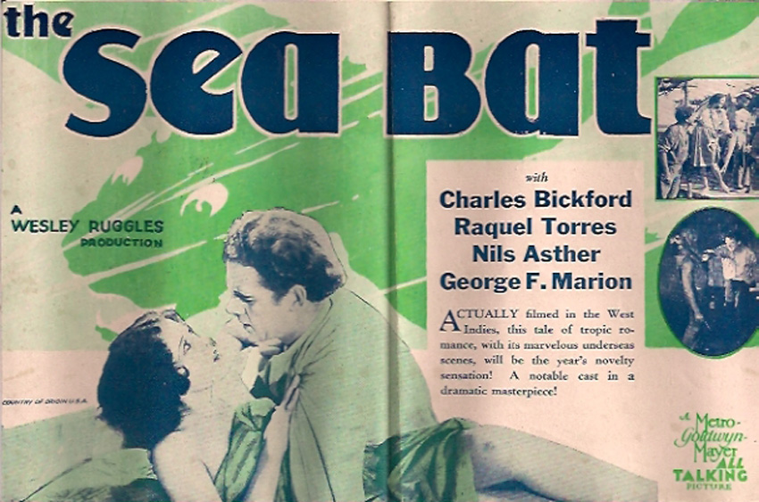 THE SEA BAT